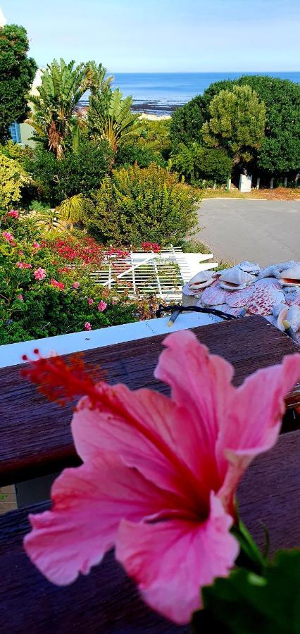 Belle Vue Guesthouse Hermanus Exterior foto