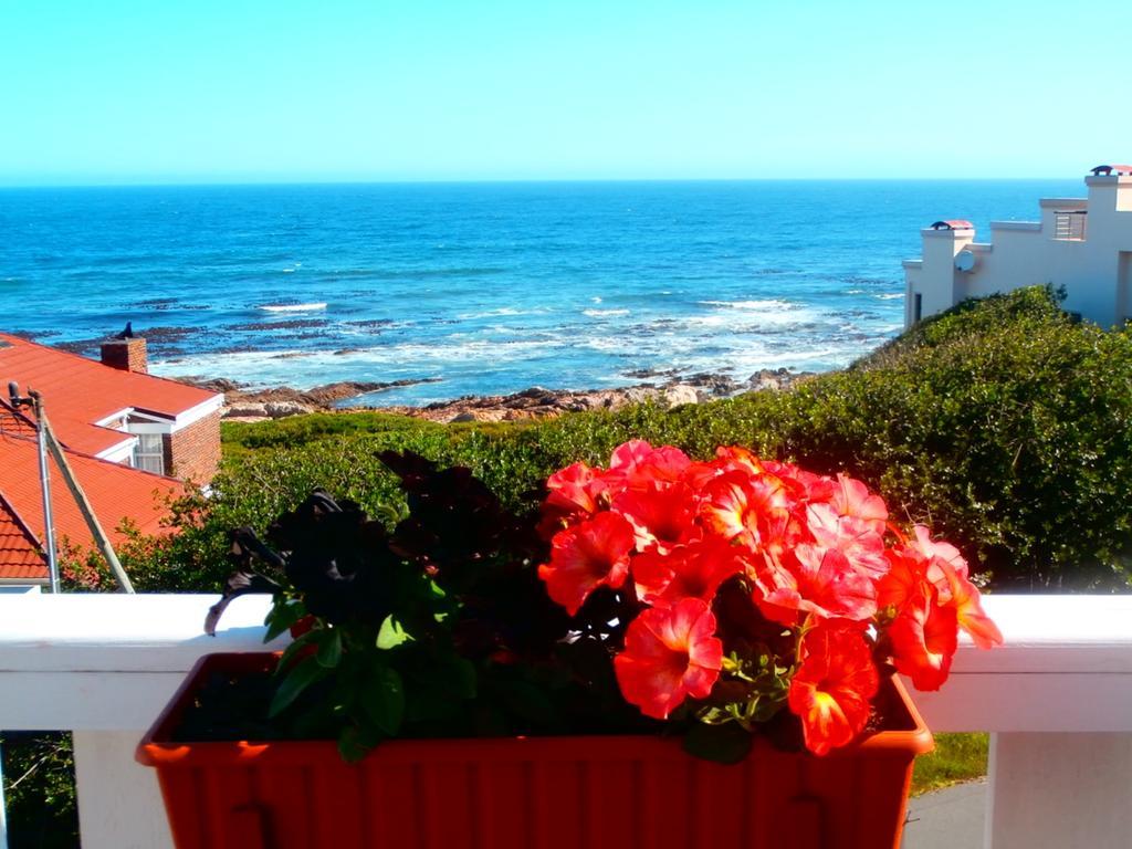 Belle Vue Guesthouse Hermanus Exterior foto