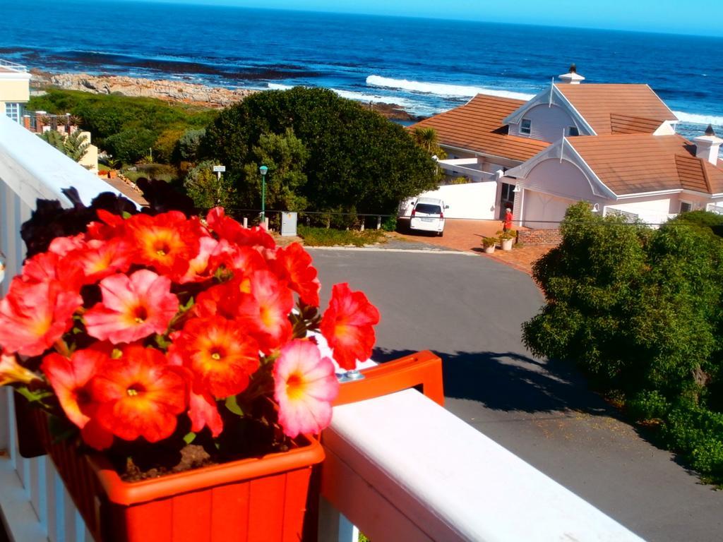 Belle Vue Guesthouse Hermanus Exterior foto